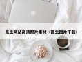 白沙昆虫网站高清照片素材（昆虫图片下载）